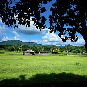 Blue Nile Farms — Business Expansion Consultation