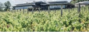 #50 x 5-Acre Farmstead Development — Land Acquisition